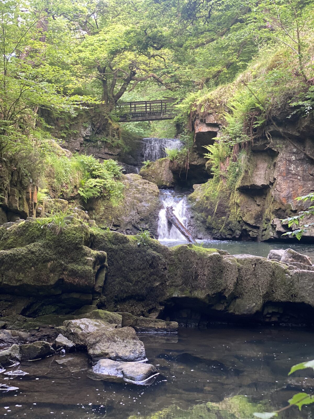 Activities | Waterfall Country Pods
