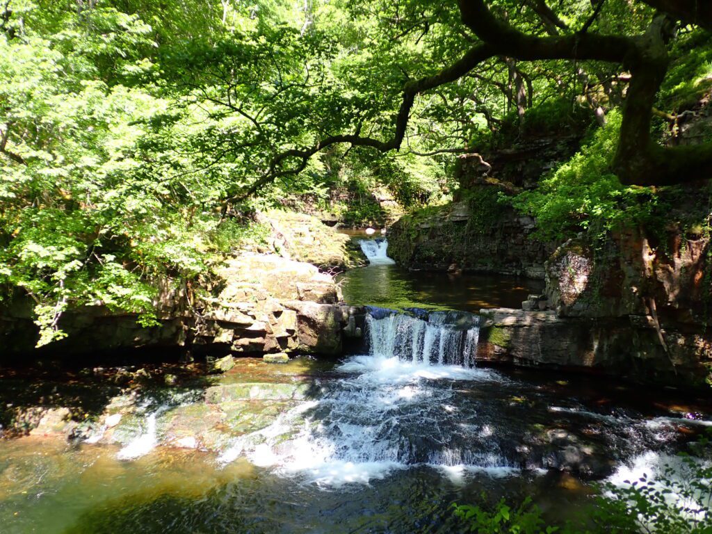 Activities | Waterfall Country Pods